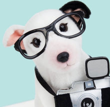 Laden Sie das Bild in den Galerie-Viewer, STUDIO PETS PLUSH – CHARLIE MIT KAMERA & KOFFER (23 CM)