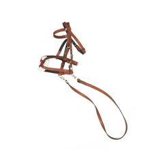 Laden Sie das Bild in den Galerie-Viewer, PANDURO HOBBY HORSE TRENSE - BRAUN