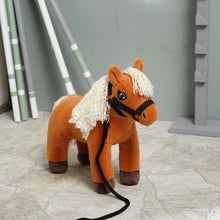 Laden Sie das Bild in den Galerie-Viewer, PANDURO DIY HOBBY PONY