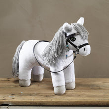 Laden Sie das Bild in den Galerie-Viewer, PANDURO DIY HOBBY PONY