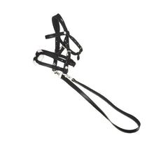 Laden Sie das Bild in den Galerie-Viewer, PANDURO HOBBY HORSE TRENSE - SCHWARZ