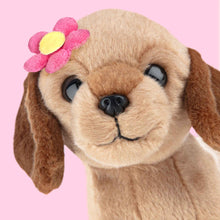 Laden Sie das Bild in den Galerie-Viewer, STUDIO PETS PLUSH – DAISY (16 CM)