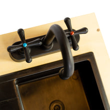 Laden Sie das Bild in den Galerie-Viewer, DISHWASHER WITH SINK (NEW)