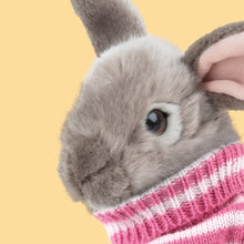 Laden Sie das Bild in den Galerie-Viewer, STUDIO PETS PLUSH – HONEY BUNNY (23 CM)