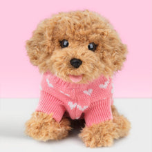 Laden Sie das Bild in den Galerie-Viewer, STUDIO PETS PLUSH – COOKIE (23 CM)