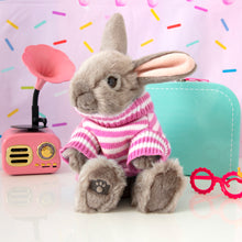 Laden Sie das Bild in den Galerie-Viewer, STUDIO PETS PLUSH – HONEY BUNNY (23 CM)