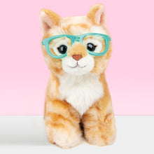 Laden Sie das Bild in den Galerie-Viewer, STUDIO PETS PLUSH – RAYBEN (16 CM)