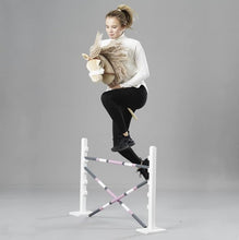 Laden Sie das Bild in den Galerie-Viewer, PANDURO HOBBY HORSE HINDERNIS – UNBEMALT

