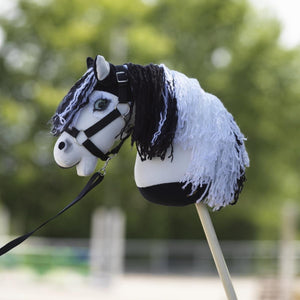 PANDURO DIY HOBBY HORSE