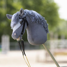 Laden Sie das Bild in den Galerie-Viewer, PANDURO DIY HOBBY HORSE
