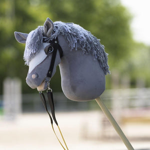 PANDURO DIY HOBBY HORSE