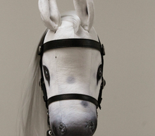 Laden Sie das Bild in den Galerie-Viewer, HOBBY HORSE MAGIC, SPOTTED
