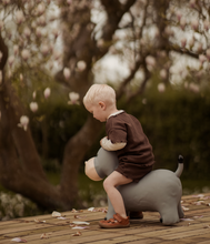 Laden Sie das Bild in den Galerie-Viewer, JUMPING ANIMAL - HOLGER THE HIPPO
