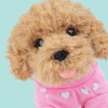Laden Sie das Bild in den Galerie-Viewer, STUDIO PETS PLUSH – COOKIE (16 CM)
