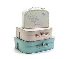 Laden Sie das Bild in den Galerie-Viewer, SPACE BAG – ROSE
