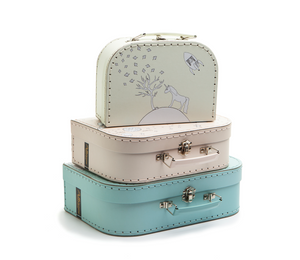 SPACE BAG – ROSE