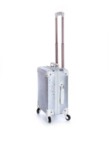 Laden Sie das Bild in den Galerie-Viewer, SUITCASE – SILVER
