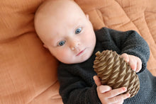Laden Sie das Bild in den Galerie-Viewer, SENSORY TOY - ZAPFEN

