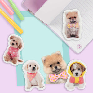STUDIO PETS – 2D-SHAPED-ERASERS PUPPIES
