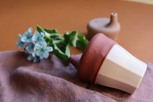Laden Sie das Bild in den Galerie-Viewer, SIPPY LIDS SET – IRON &amp; EARTH
