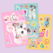 Laden Sie das Bild in den Galerie-Viewer, STUDIO PETS – PASSPORT STICKER BOOK FÜR 23 CM KUSCHELTIERE
